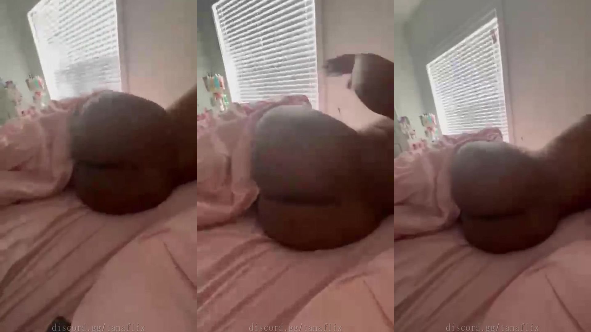 Une renoise twerke dans le lit avec son gros cul